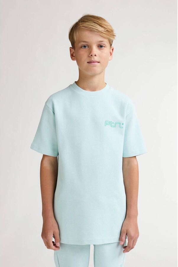 Petrol Industries T-shirt met backprint mintgroen