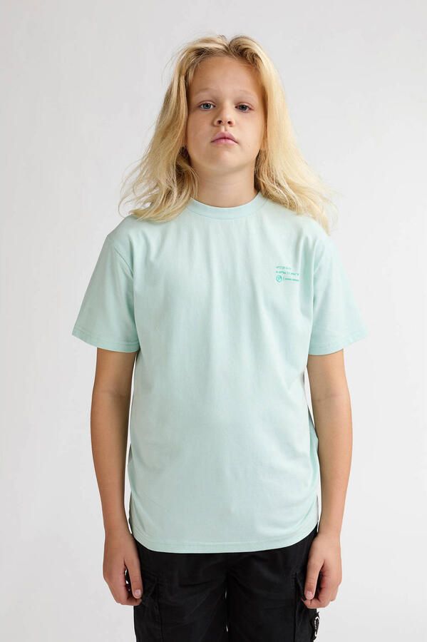 Petrol Industries T-shirt met backprint mintgroen