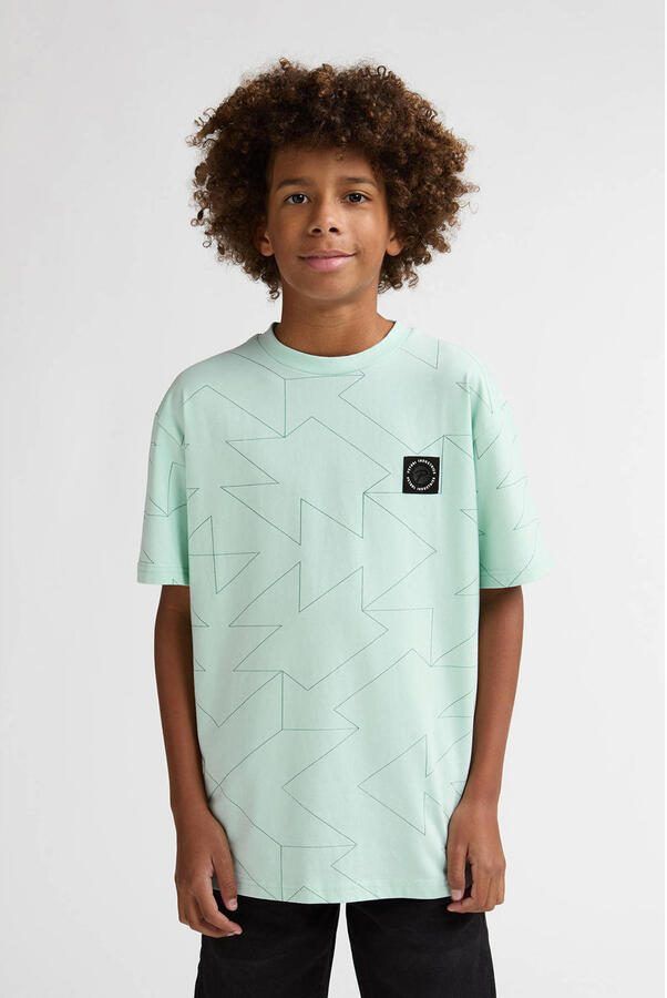 Petrol Industries T-shirt mintgroen