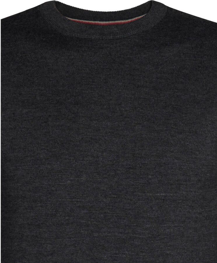 Petrol Industries Trui met ronde hals Materiaalmix met katoenpercentage