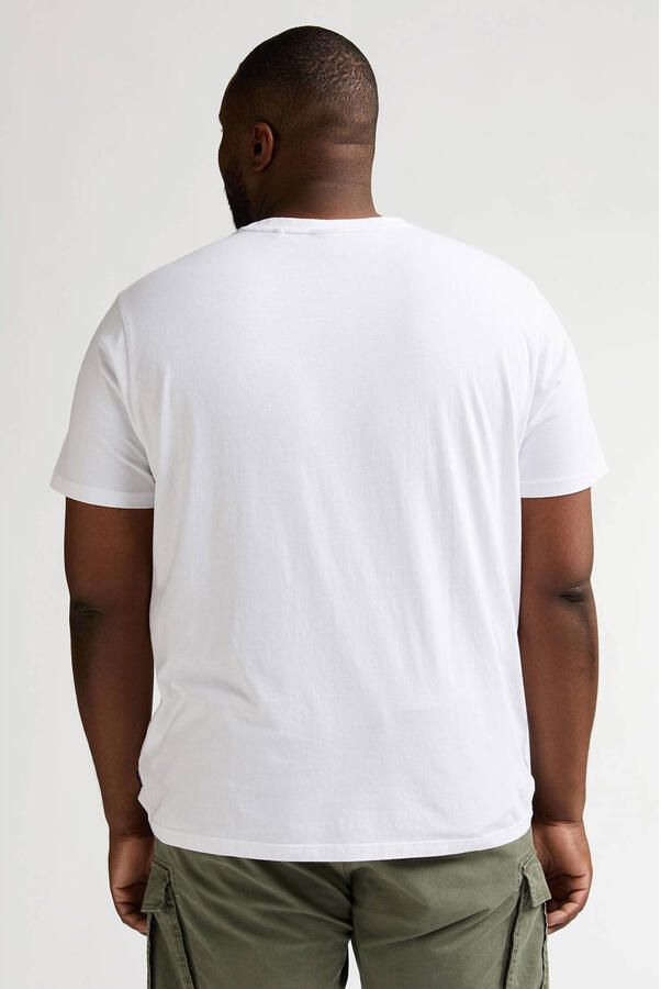Petrol industries Plus Size regular T-shirt wit - Foto 2