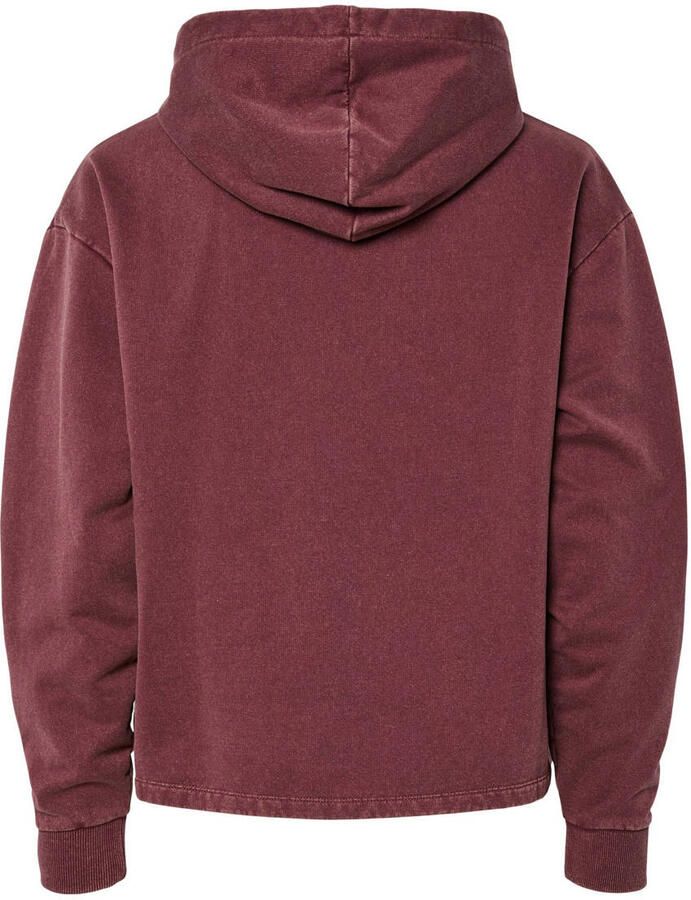 Pieces Hoodie PCCHILLI LS WASHED SWEAT HOODIE NOOS BC