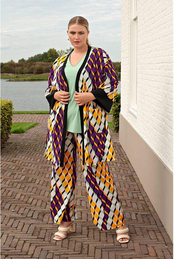 Plus Basics travelstof wide leg regular waist gestreepte broek