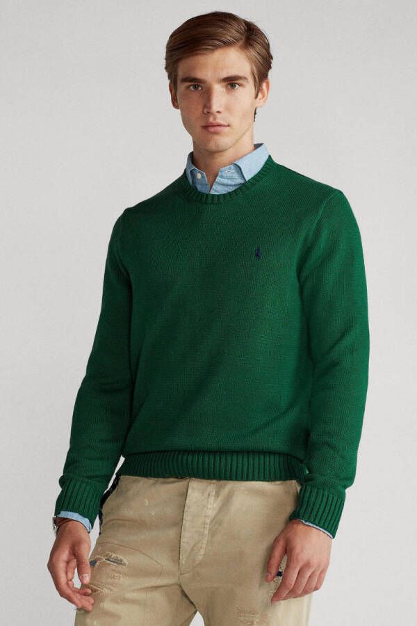 Polo Ralph Lauren Geborduurde Groene Jersey Sweaters Green Heren