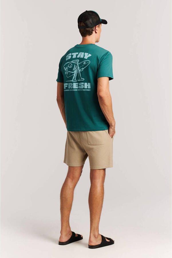 Protest regular T-shirt petrol - Foto 2
