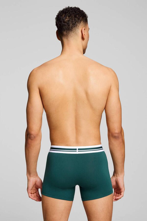 PUMA Boxershort MEN EVERYDAY PLACED LOGO BOXERS 2P (Set van 2)