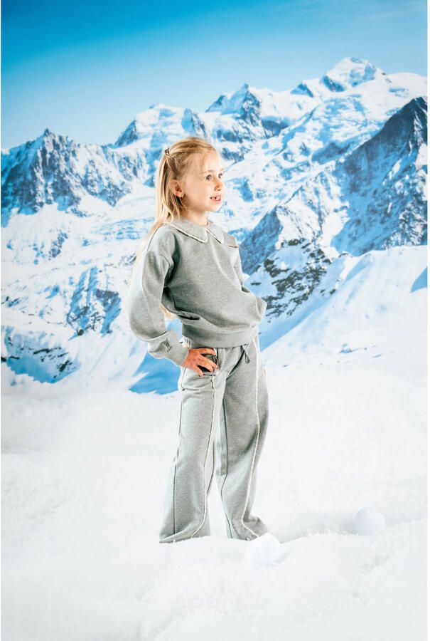 QPI gestreepte sweatpants grijs
