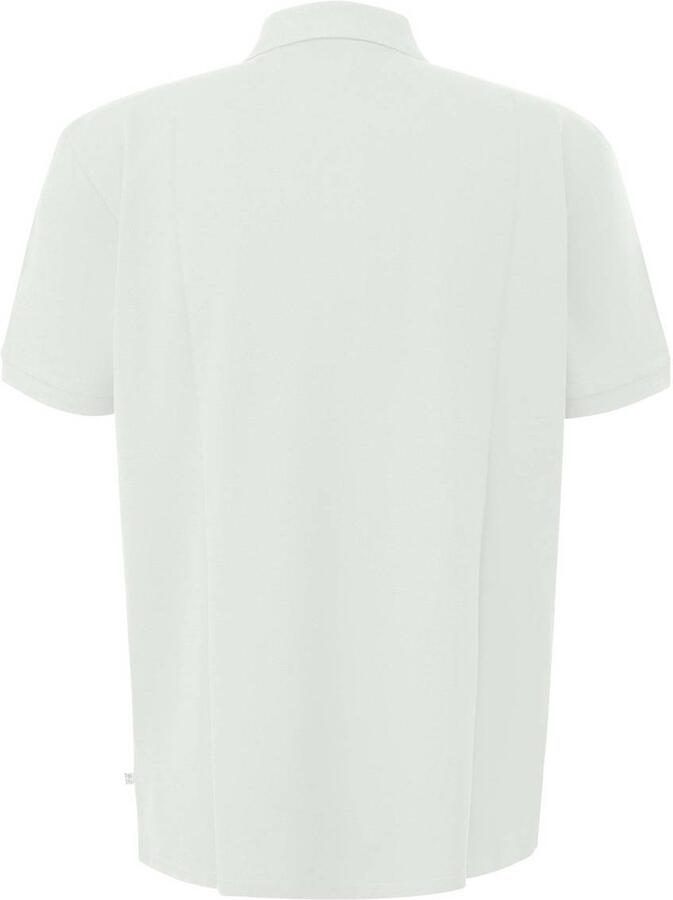 QS regular polo