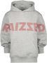 Raizzed hoodie Newark met logo lichtgrijs melange - Thumbnail 2