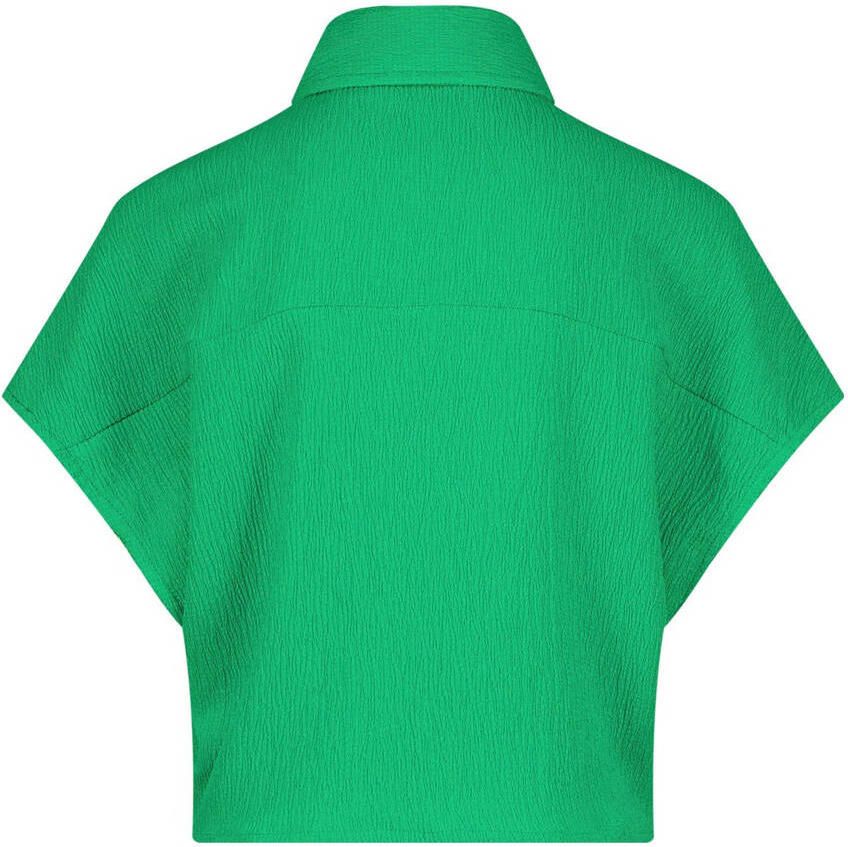 Raizzed blouse Telsa felgroen Meisjes Polyester Klassieke kraag Effen 128