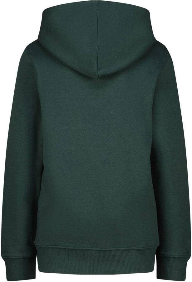 Raizzed hoodie donkergroen