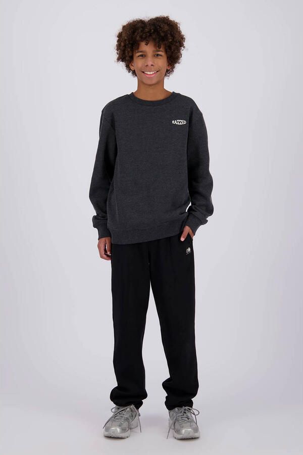 Raizzed rechtvallende sweater met backprint grijs Jongens Katoen Ronde hals - Foto 3