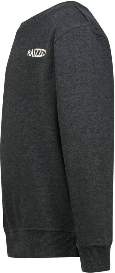 Raizzed rechtvallende sweater met backprint grijs Jongens Katoen Ronde hals - Foto 5