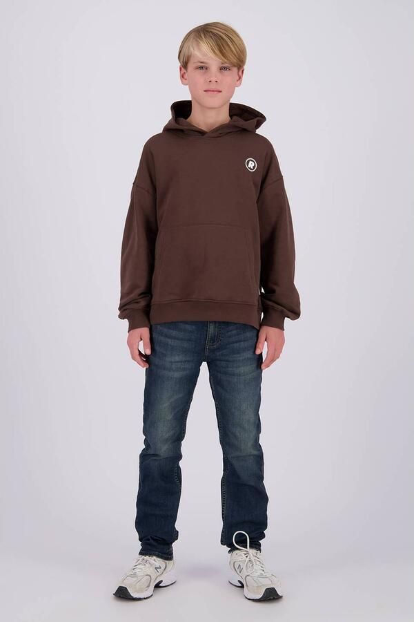 Raizzed oversized hoodie met backprint bruin Sweater Backprint