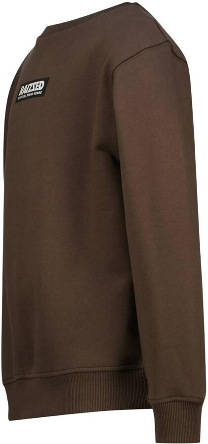 Raizzed rechtvallende sweater met logo bruin Logo - Foto 3