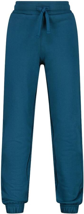 Raizzed regular fit joggingbroek blauw Jongens Sweat Effen