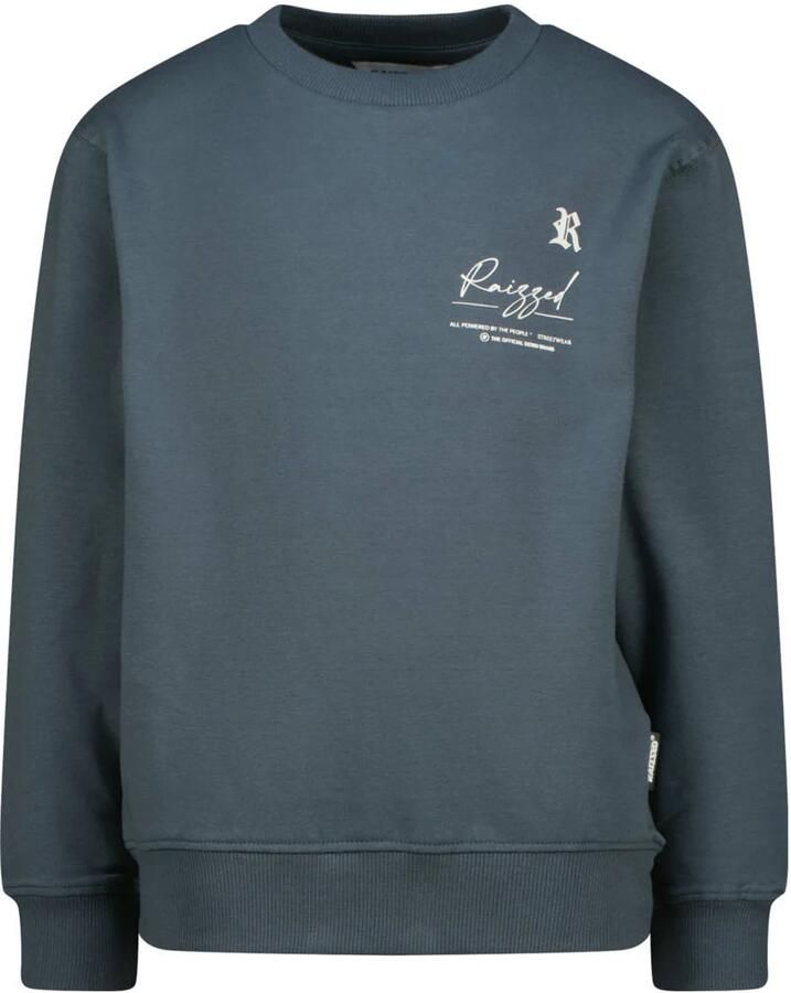 RAIZZED Jongens Truien & Vesten Nile Grijs - Foto 4