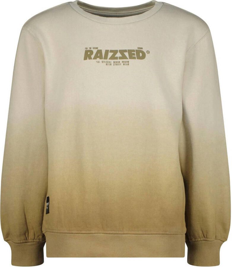 RAIZZED Jongens Truien & Vesten Male Zand - Foto 4