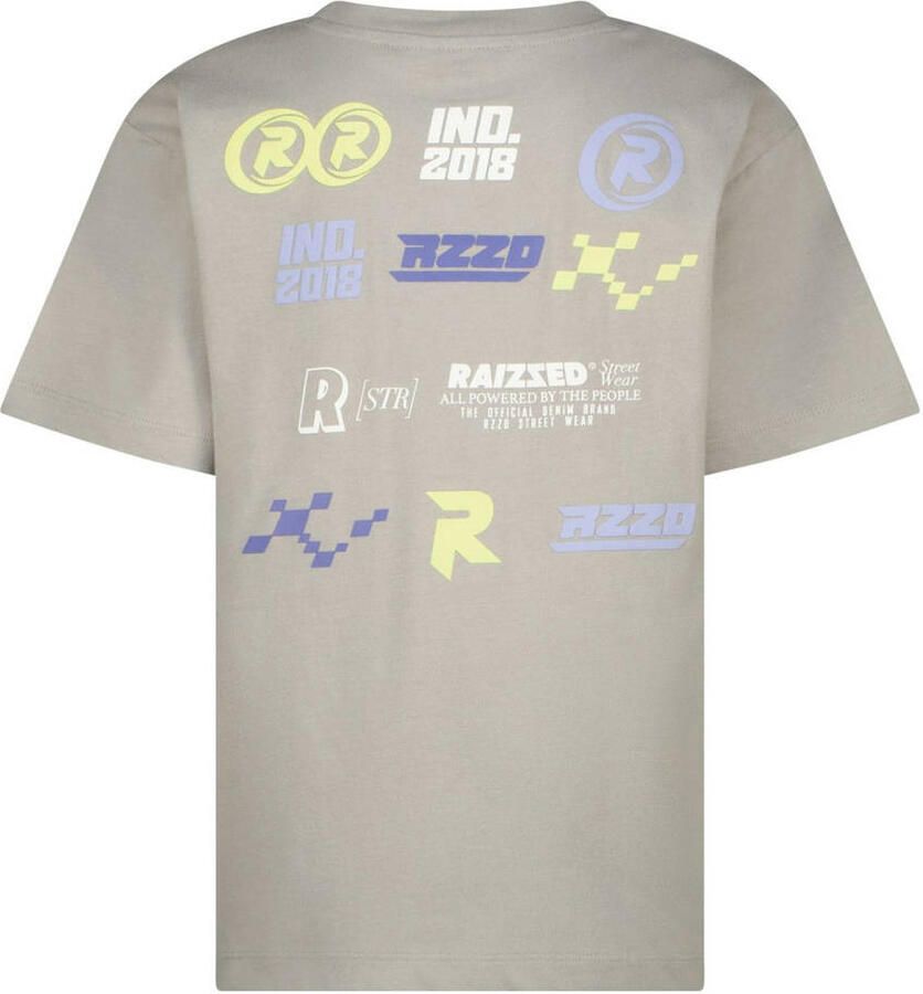 RAIZZED Jongens Polo's & T-shirts Harton Grijs
