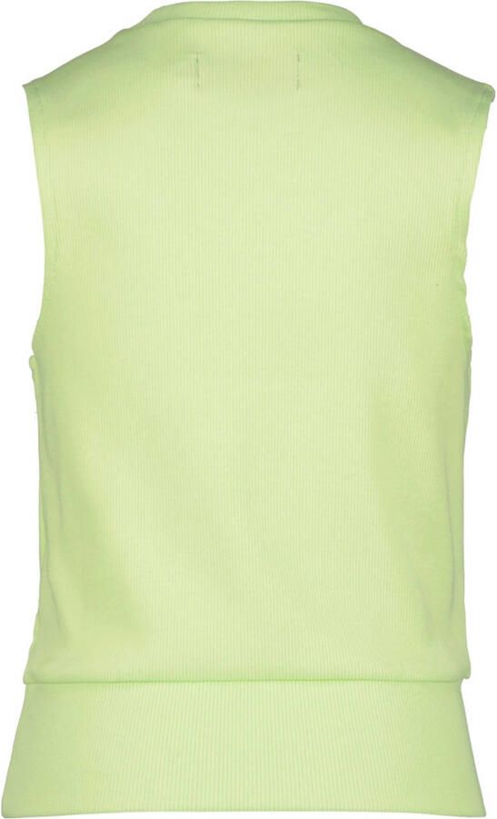 Raizzed T-shirt lichtgroen Meisjes Katoen Ronde hals Effen 116