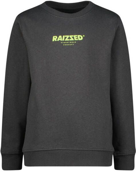 Raizzed sweater Morley met logo antraciet Grijs Jongens Katoen Ronde hals 104