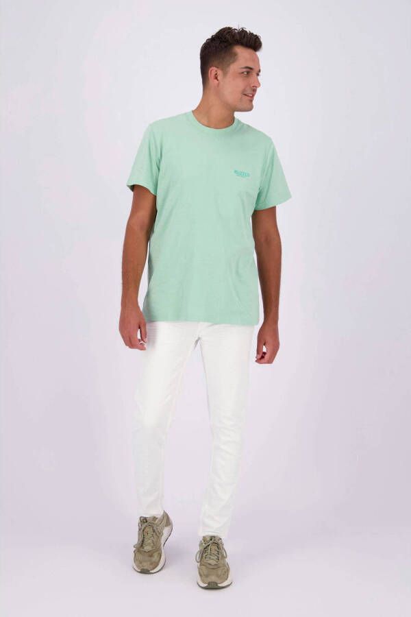 Raizzed T-shirt Julian met backprint bright mint