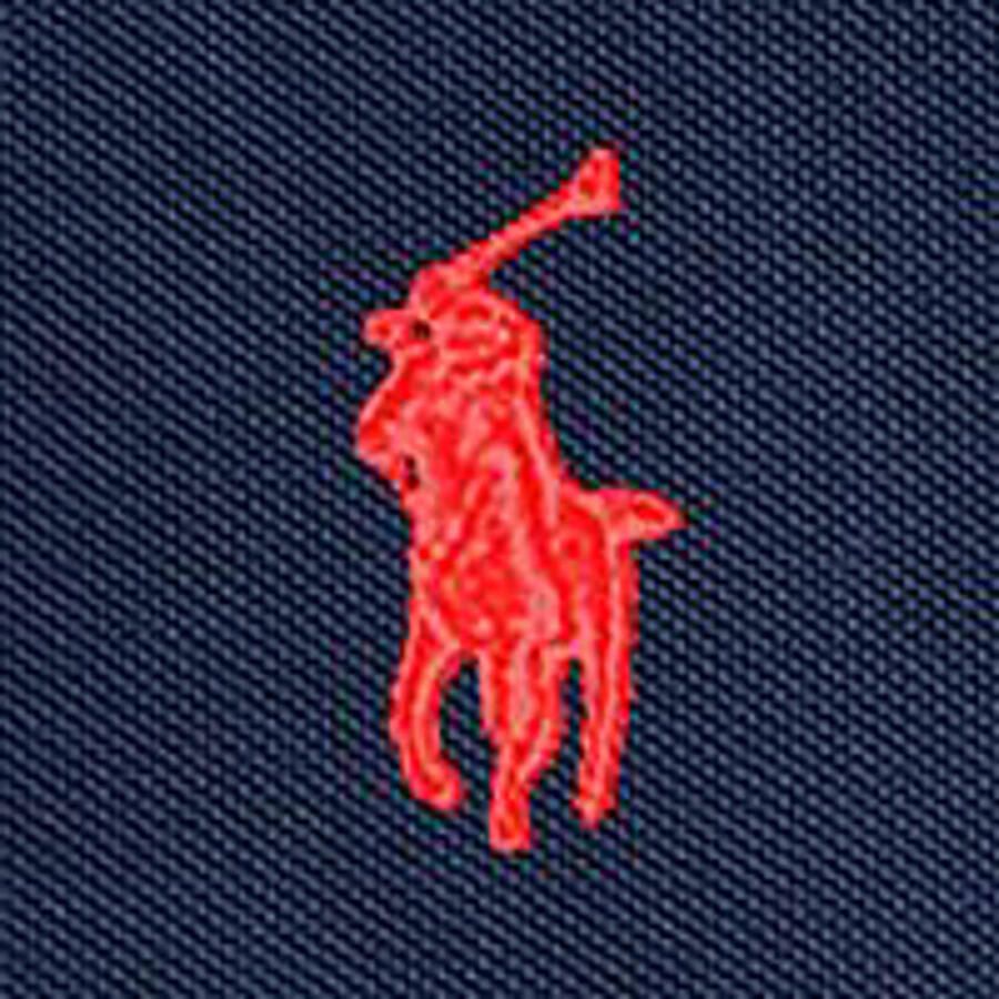 Polo Ralph Lauren Polo Shirt Lange Mouw POLO AJUSTE DROIT EN COTON BASIC MESH LOGO PONY PLAYER