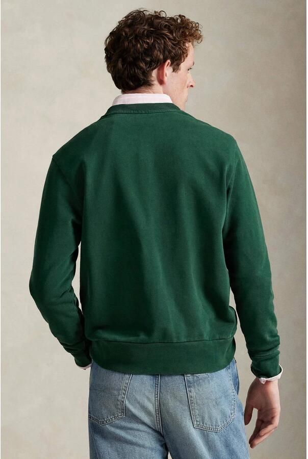 Polo Ralph Lauren Sweater SWEAT COL ROND MOLLETONNE TERRY