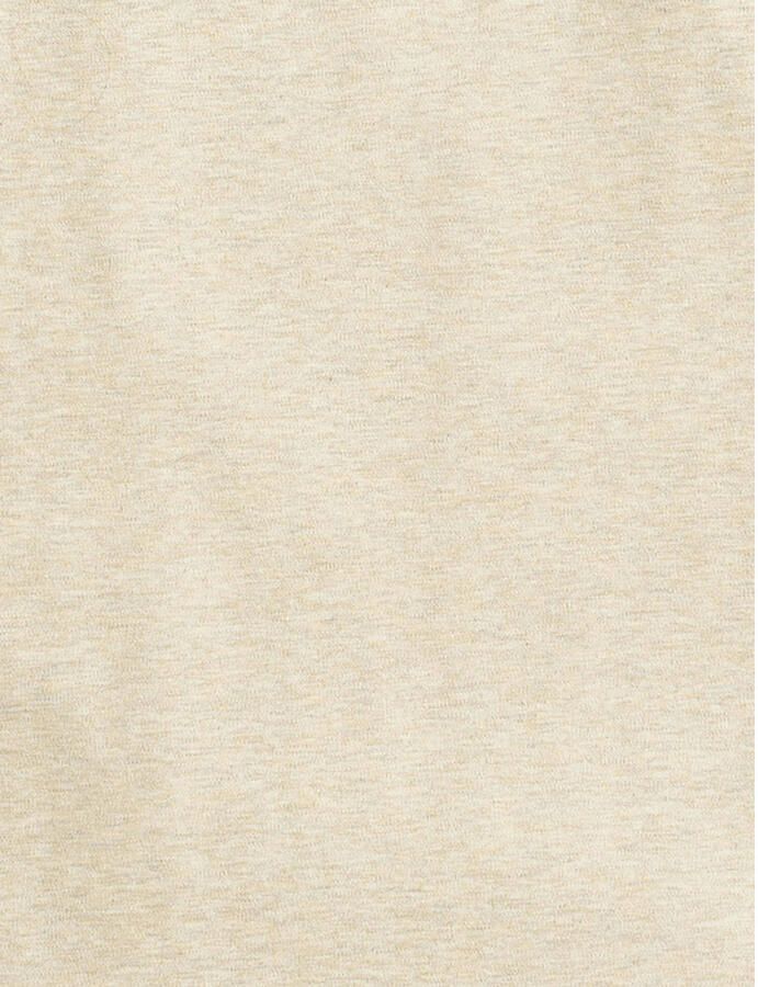 Polo Ralph Lauren T-shirt met labelstitching