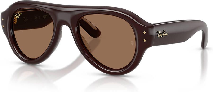 Ray-Ban x A$AP Rocky zonnebril 0RB4925 bruin