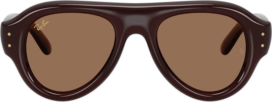 Ray-Ban x A$AP Rocky zonnebril 0RB4925 bruin - Foto 3