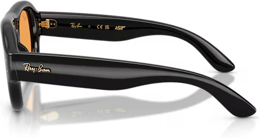 Ray-Ban x A$AP Rocky zonnebril 0RB4925 zwart - Foto 2