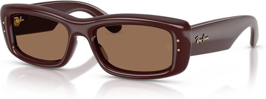 Ray-Ban x A$AP Rocky zonnebril 0RB4944 bruin