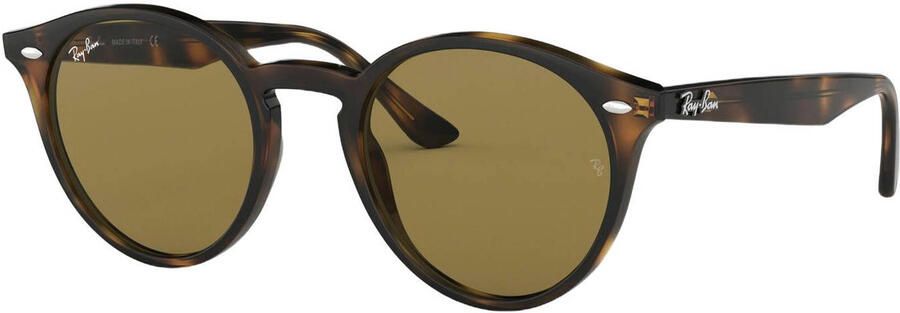 Ray-Ban zonnebril 0RB2180 met tortoise print bruin