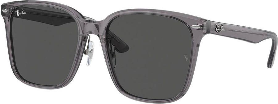 Ray-Ban zonnebril 0RB2206D grijs