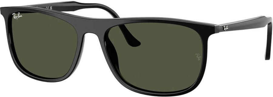 Ray-Ban zonnebril 0RB2216 zwart