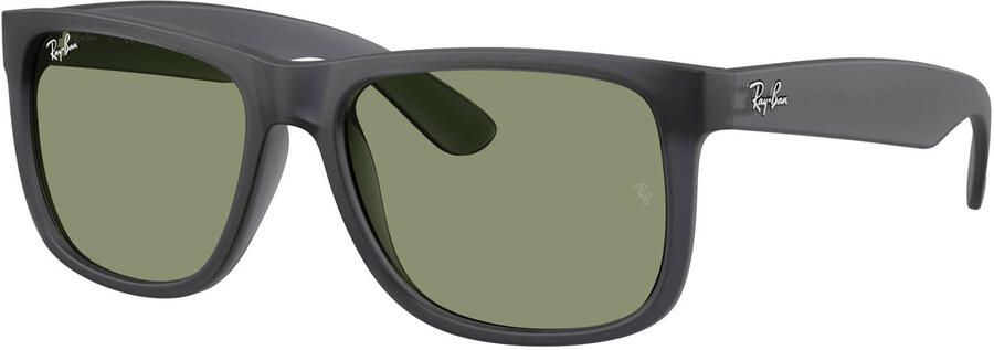 Ray-Ban zonnebril 0RB2223 zwart