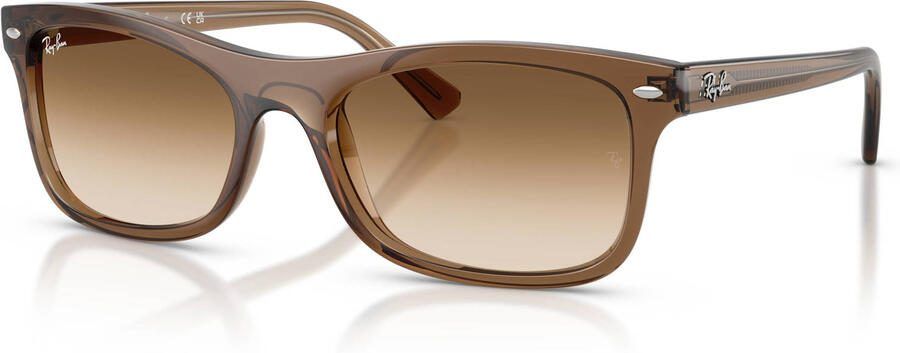 Ray-Ban zonnebril 0RB2226 bruin