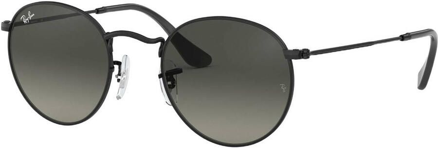 Ray-Ban Ronde Platte Lenzen Gepolariseerd Brown Heren