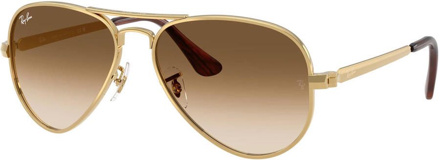 Ray-Ban zonnebril 0RB3925 goudkleurig