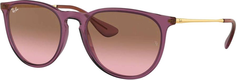 Ray-Ban zonnebril 0RB4171 paars