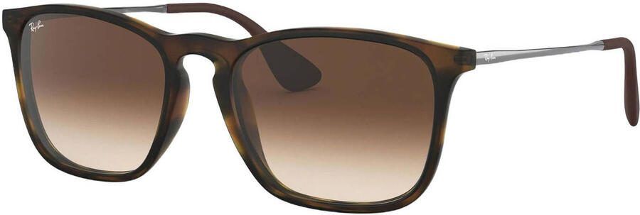 Ray-Ban Erika klassiek gepolariseerd Erika Rb4171 Gepolariseerde Zonnebril Brown Dames