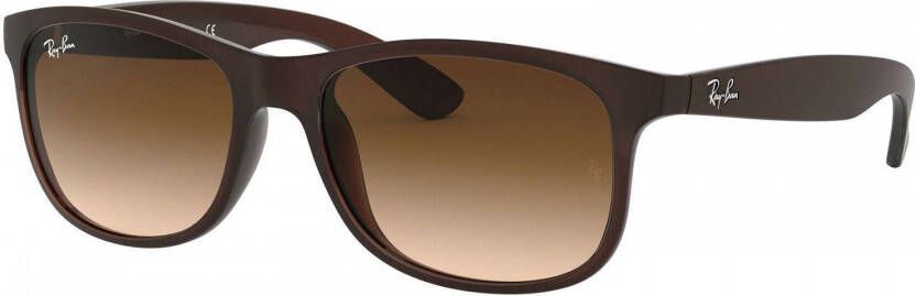 Ray-Ban Ray Ban zonnebril 0RB4202