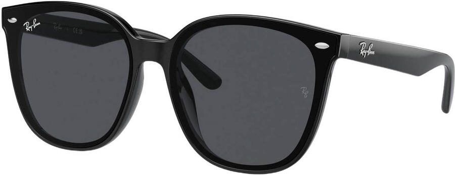 Ray-Ban zonnebril 0RB4423D zwart