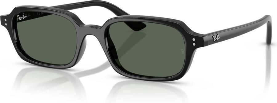 Ray-Ban zonnebril 0RB4455 zwart