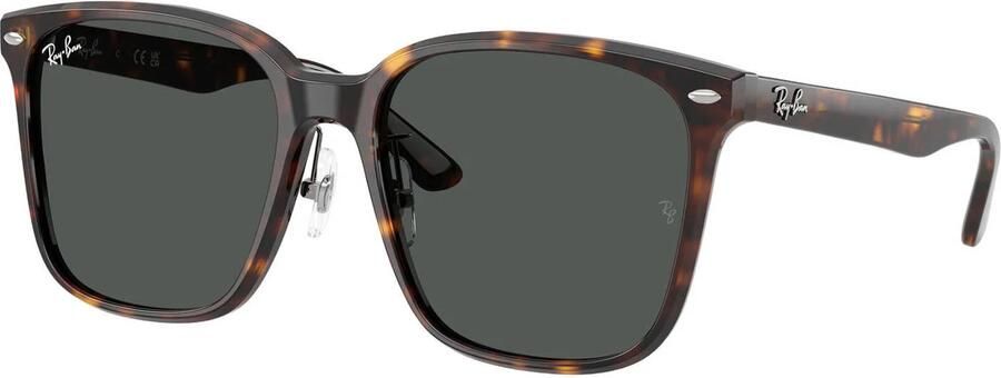 Ray-Ban zonnebril met tortoise print 0RB2206D bruin