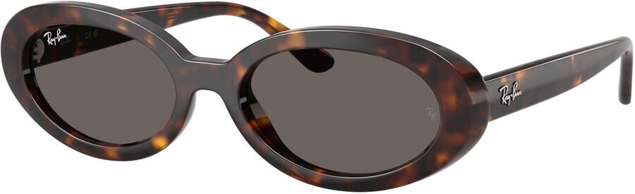 Ray-Ban zonnebril met tortoise print 0RB2223 bruin