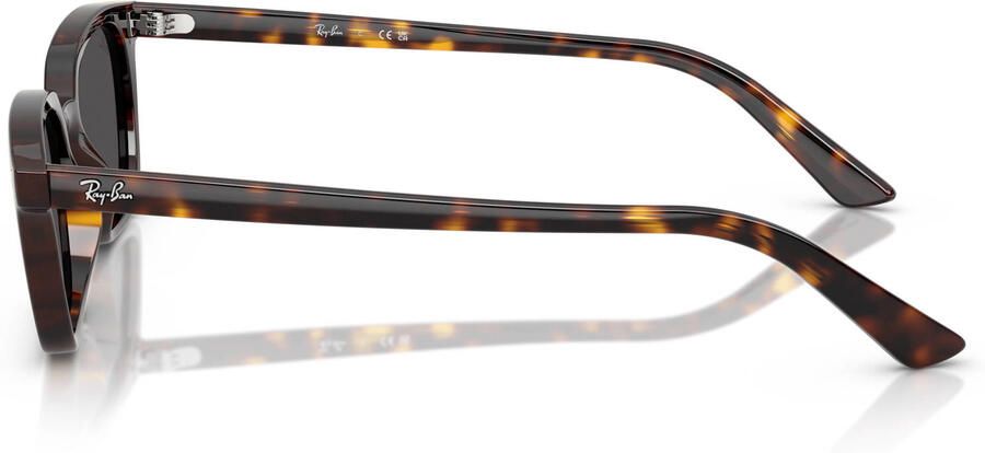 Ray-Ban zonnebril met tortoise print 0RB4456 bruin