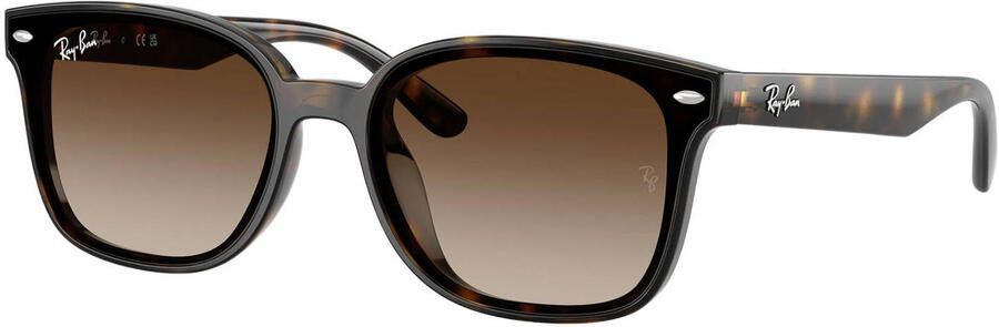 Ray-Ban zonnebril met tortoise print 0RB4461D bruin