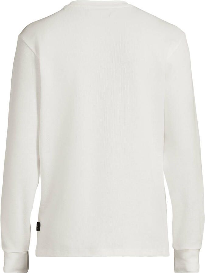 Replay Sweatshirt met opstaande kraag